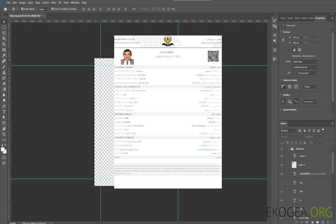 Modèle de visa électronique pour l'Irak aux formats Word et PDF template Modèle de visa électronique pour l'Irak aux formats Word et PDF template